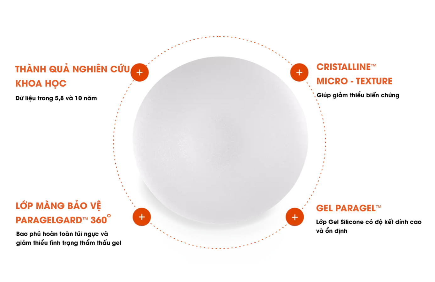 The Round Collection™ The Round Collection™